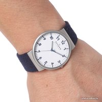 Наручные часы Skagen SKW6098