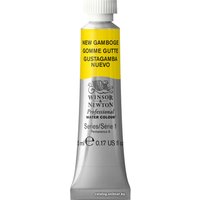 Акварельные краски Winsor & Newton Professional 102267 (5 мл, гуммигут новый)