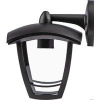 Уличный настенный светильник ЭРА НБУ 07-40-002