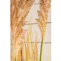 Искусственное растение Merry Bear Home Decor Микс трава-тростник желтеющий KD3406-109-22