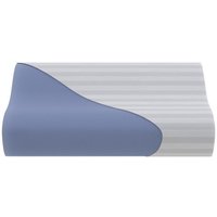 Спальная подушка PROxSON Terra Ergo 40x60