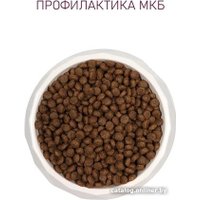 Сухой корм для кошек Award Adult Urinary (для профилактики мочекаменной болезни с курицей с добавлением клюквы, цикория и рыбьего жира) 1.5 кг