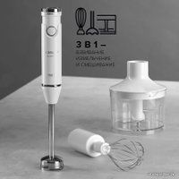 Погружной блендер Scarlett SC-HB42F91 в Гомеле