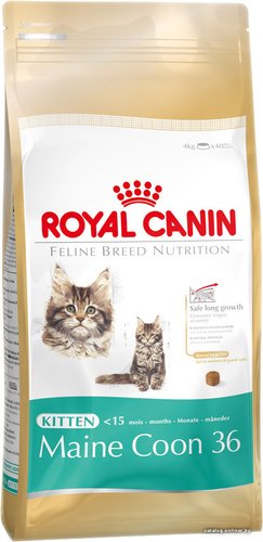 Сухой корм для кошек Royal Canin Kitten Maine Coon 36 4 кг