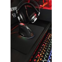 Игровая мышь Canyon CND-SGM14RGB