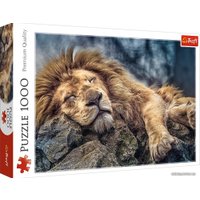 Пазл Trefl Спящий лев 10447 (1000 эл)