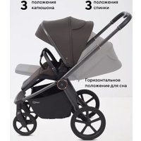 Универсальная коляска Rant Flex Therm RA112 (2 в 1, shine brown)