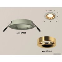 Точечный светильник Ambrella light XC7623005 SGR/PYG