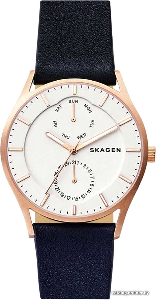 Наручные часы Skagen SKW6372