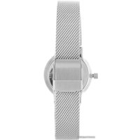 Наручные часы Skagen SKW2667