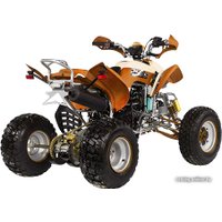 Квадроцикл IRBIS ATV 250S