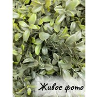 Искусственное растение Merry Bear Home Decor Самшит спиралевидный KM5312