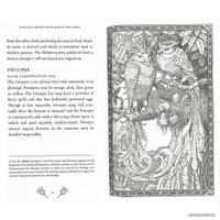 Книга издательства Bloomsbury. Fantastic Beasts Hogwarts Library PB, Rowling J.K.