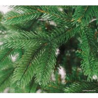 Ель Бифорес Соната Микс (1.65 м, темно-зеленый)