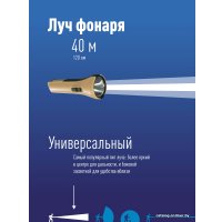 Фонарь КОСМОС KOS116Lit