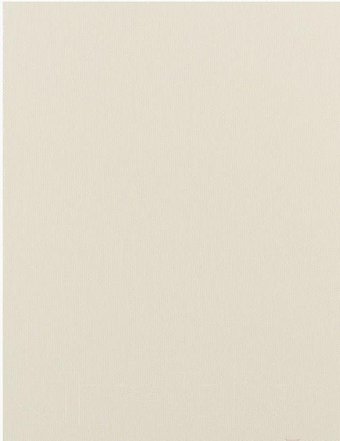 Delfa Сантайм Термо-Блэкаут СРШ-01М 7900 43x170 (белый)