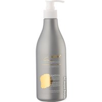 Шампунь Belita Нейтрализация седеющих волос с комплексом против седины и гиалуроном 500 мл