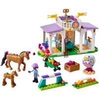 Конструктор LEGO Friends 41746 Тренировка лошадей