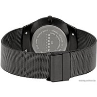 Наручные часы Skagen SKW6006