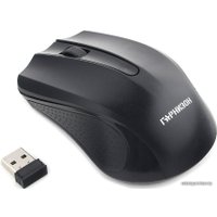 Мышь Гарнизон GMW-430