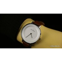 Наручные часы Skagen SKW2214