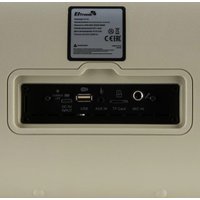 Беспроводная колонка Eltronic 30-85 Dance Box 900 (бежевый)