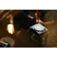 Виниловый проигрыватель Rekkord Audio F300 (AT91, коричневый)