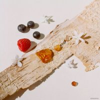 Парфюмерная вода Burberry Her EdP (100 мл)