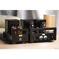 Настольный усилитель Cayin HA-300MK2 (серебристый)