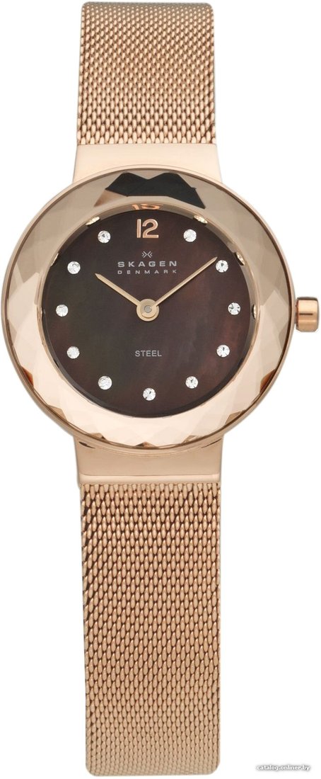 

Наручные часы Skagen 456SRR1