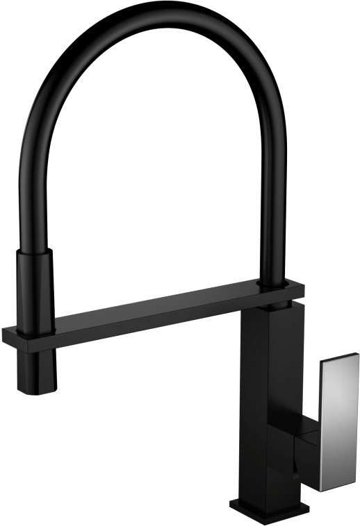 Смеситель Ganzer Rein GZ 16037C (черный)
