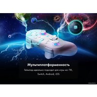 Геймпад Thunderobot G45 Pro