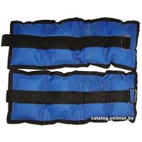 Комплект утяжелителей ZEZ Sport песочный 0.5 кг + 0.5 кг