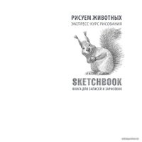 Книга издательства Эксмо. Скетчбук с уроками внутри Рисуем животных (изумруд)