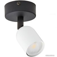 Точечный светильник TK Lighting Top 6265