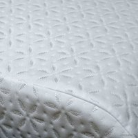 Ортопедическая подушка EcoSapiens Memory ES-78030 (50x32)