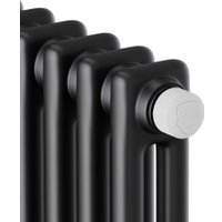 Стальной трубчатый радиатор Royal Thermo Insignia VC2180 - 10 секций RAL9005m