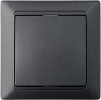 Выключатель Bylectrica Стиль С1 10-801 (графит)