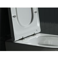 Унитаз подвесной Ceramica Nova Rimless Forma CN3011