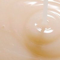  Round Lab Soybean Serum (50мл) в Орше