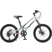 Детский велосипед Montasen MB12B-20GR (серый)
