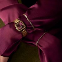 Наручные часы Cluse CW11812