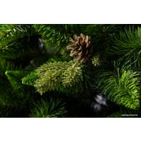 Сосна GreenTerra Рапсодия зеленая 2.2 м