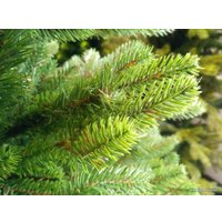 Ель GreenTerra Аляска Слим 1.8 м