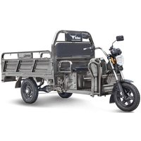 Грузовой электроскутер Rutrike D4 1800 60V 1500W (серый)