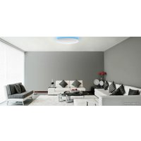 Светильник-тарелка Yeelight Arwen Ceiling Light 450C YLXD013-B