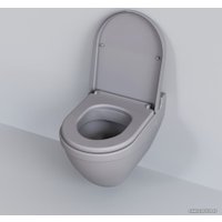 Сиденье для унитаза Ambassador Nord 132T20301 (серый матовый)