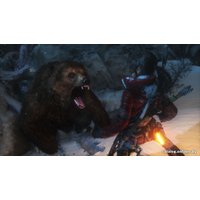 Компьютерная игра PC Rise of the Tomb Raider