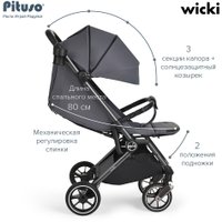 Коляска прогулочная «книга» Pituso Wicki ABF2022 (графитовый)
