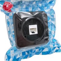 Розетка компьютерная SmartBuy SBE-03b-S1-RJ